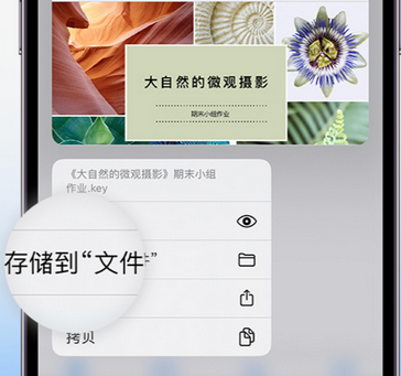 北林apple维修中心分享iPhone文件应用中存储和找到下载文件