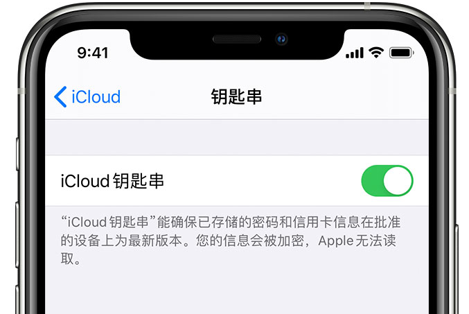 北林苹果手机维修分享在 iPhone 上开启 iCloud 钥匙串之后会储存哪些信息 