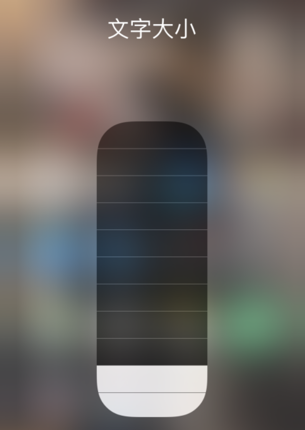 北林苹果手机维修分享小技巧：在 iPhone 控制中心快速调节字体大小 