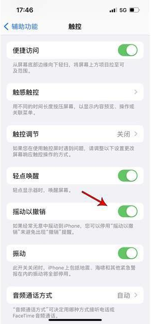 北林苹果手机维修分享iPhone手机如何设置摇一摇删除文字 