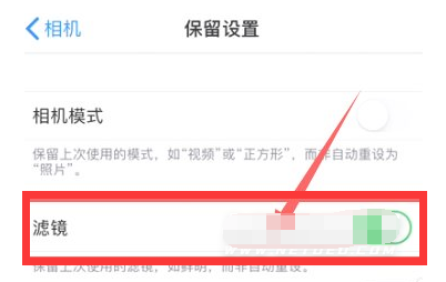 北林苹果13维修分享iPhone13拍照有绿点是怎么回事 