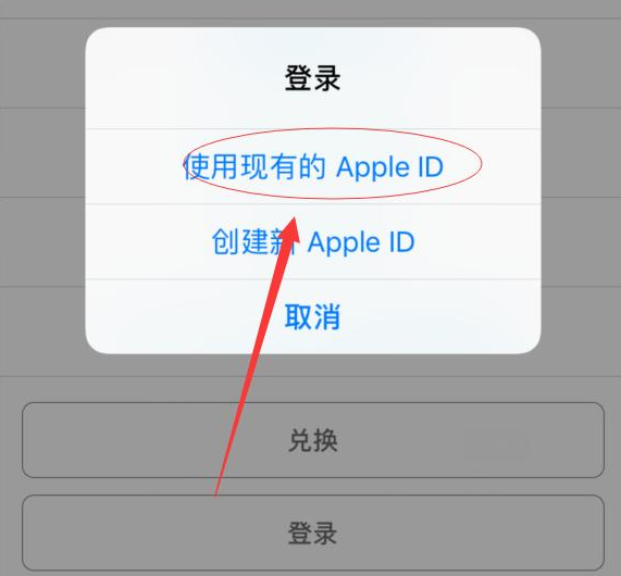 北林苹果手机维修分享两台iPhone设备可以同时登录一个Apple ID吗 