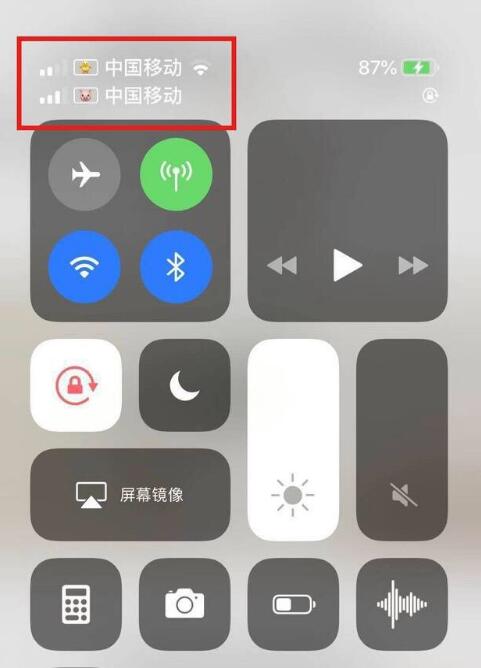 北林苹果手机维修分享为 iPhone 12 双卡设置标签 